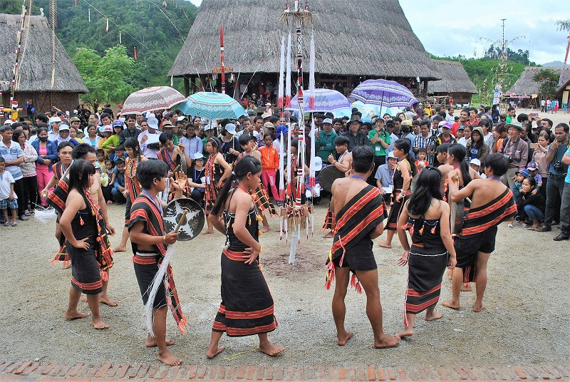 le dung cay neu