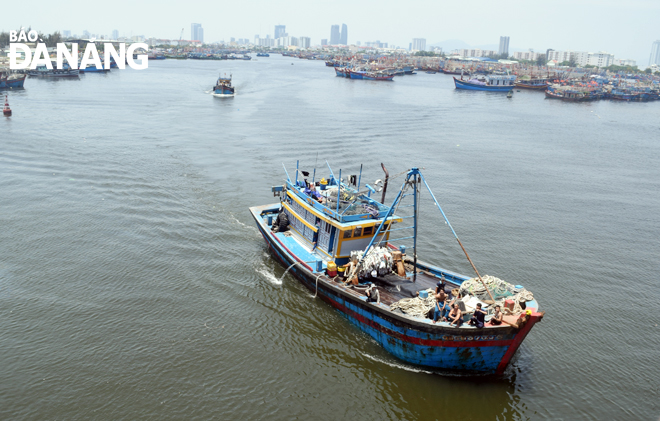 many fishing vessels leaving the tho quang wharf
