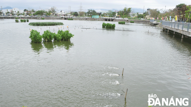 many measures have been taken to improve the water environment