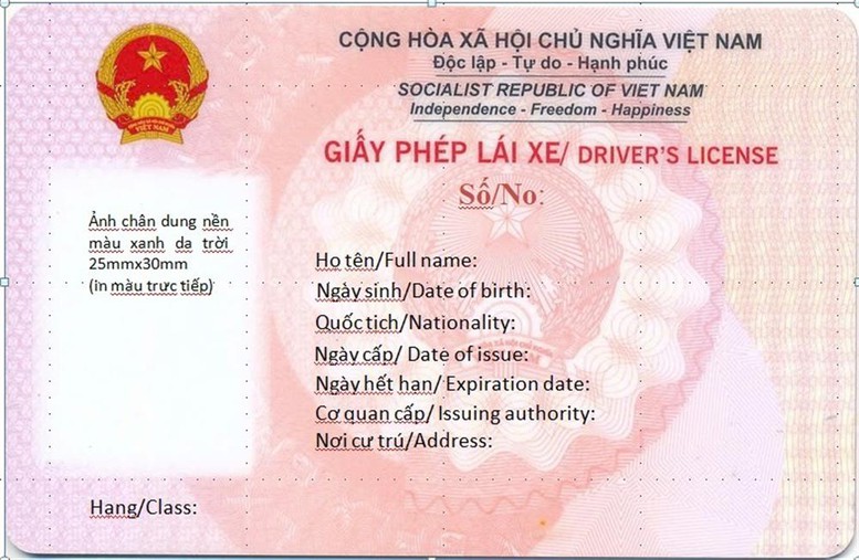mau giay phep lai xe moi