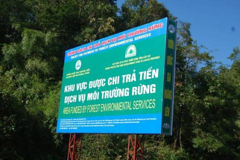 moi truong rung