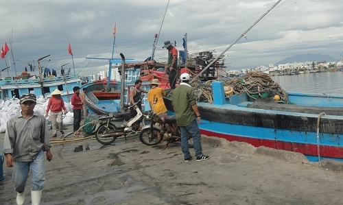 ngu dan