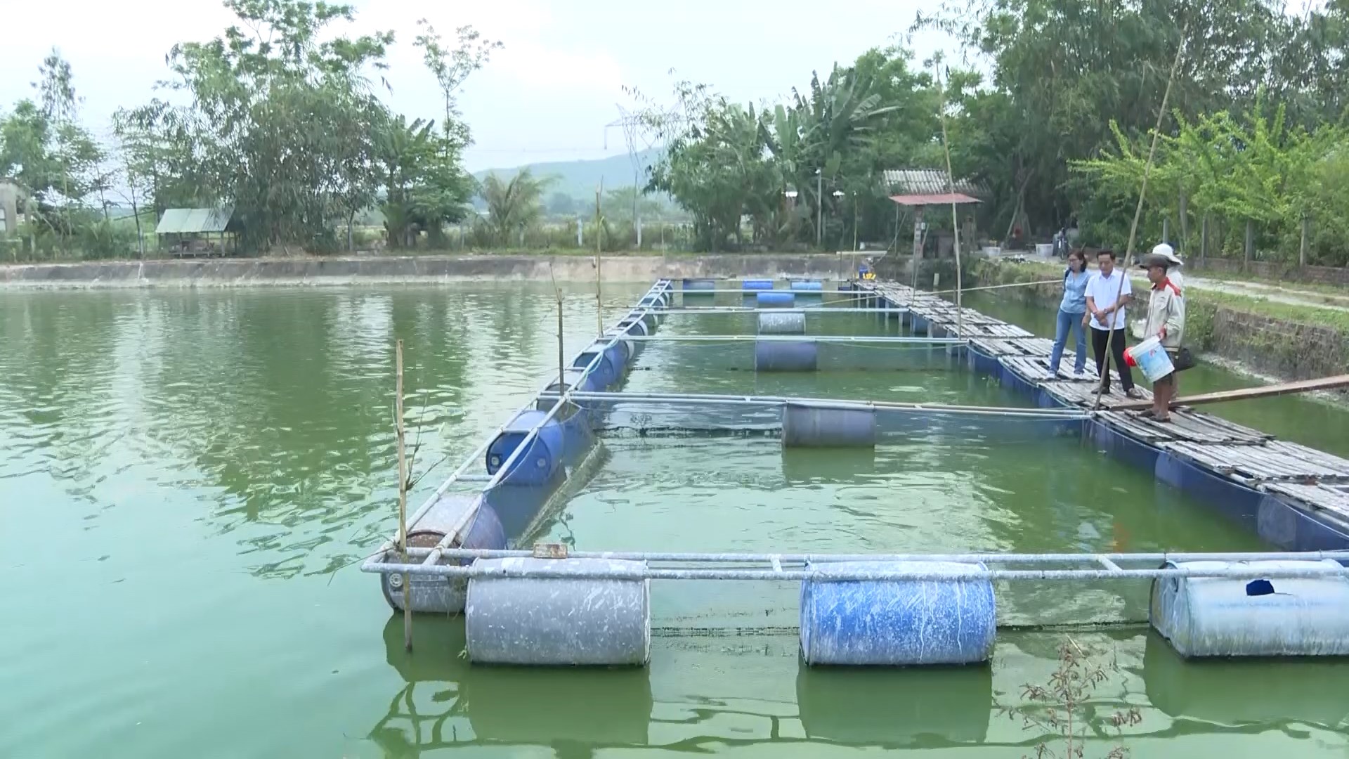 nuoi trong thuy san