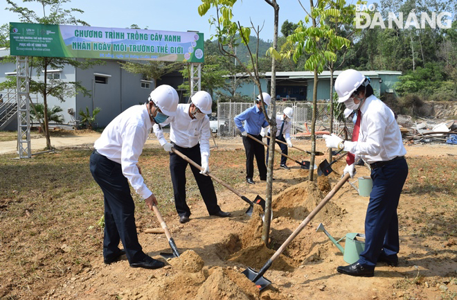 plant trees