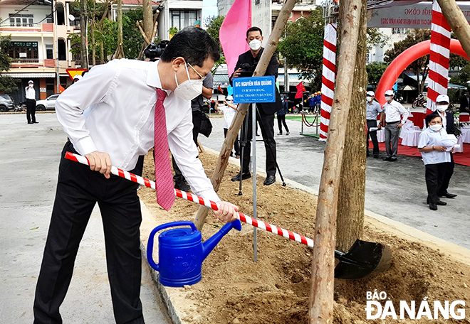 planting a tree