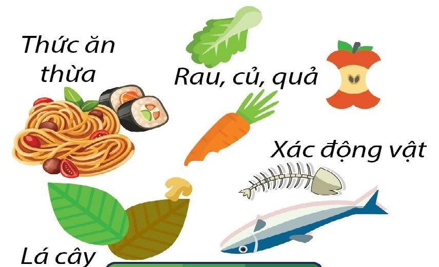 rac thai sinh hoat 2
