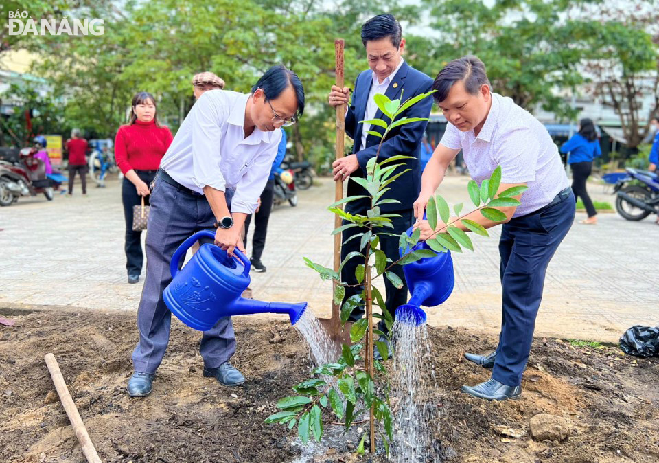 tet trong cay 2023 5
