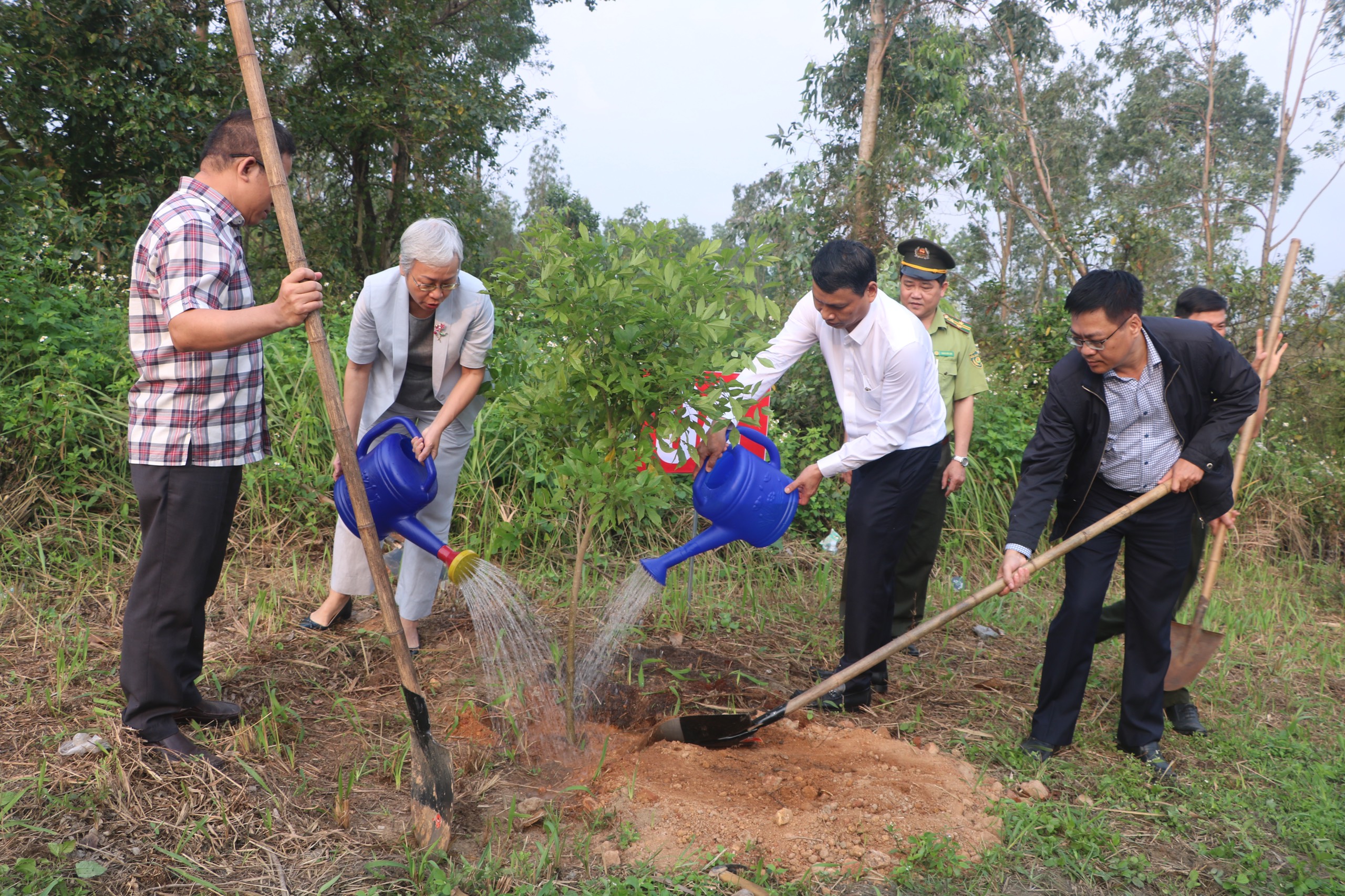tet trong cay 2023 9