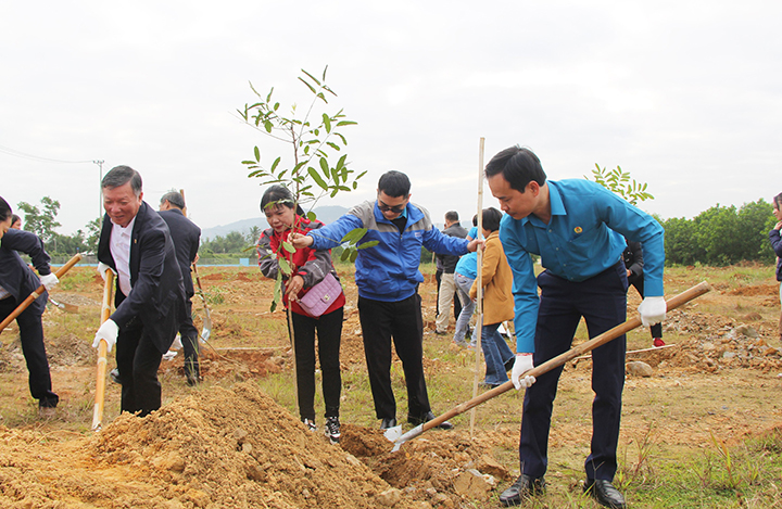 tet trong cay 2023