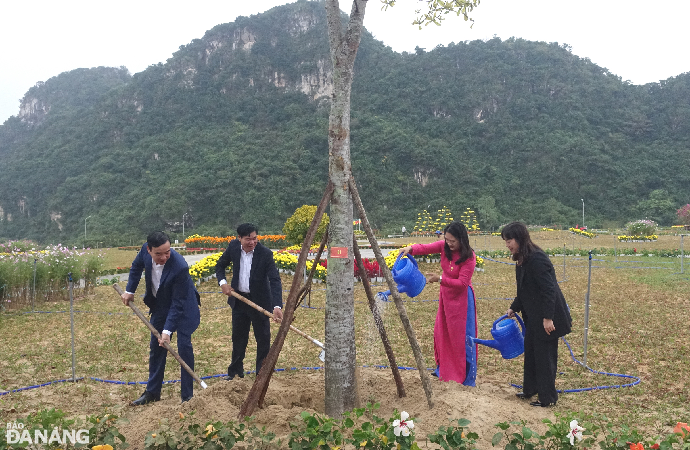 tet trong cay 2024 1