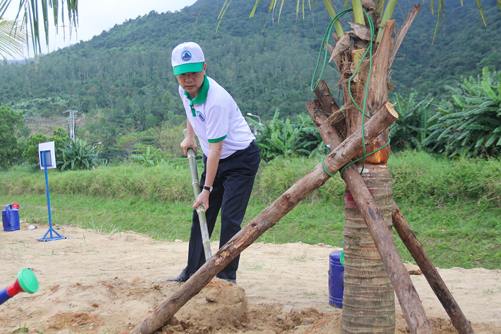 tet trong cay 2024 13