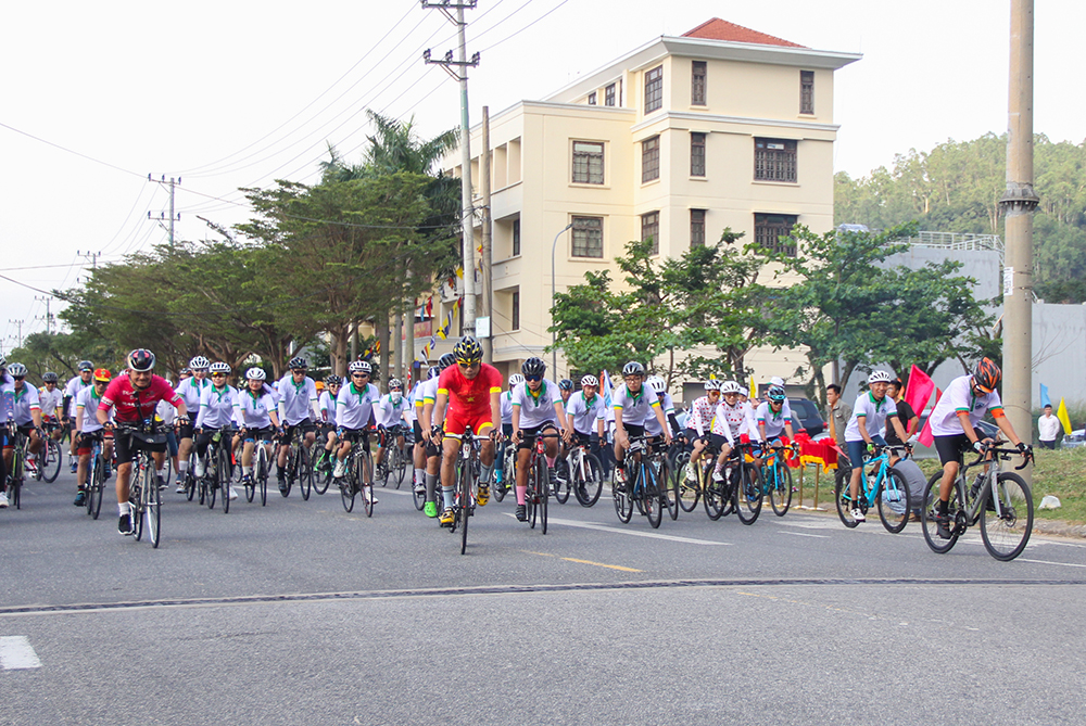 tet trong cay 2024 16