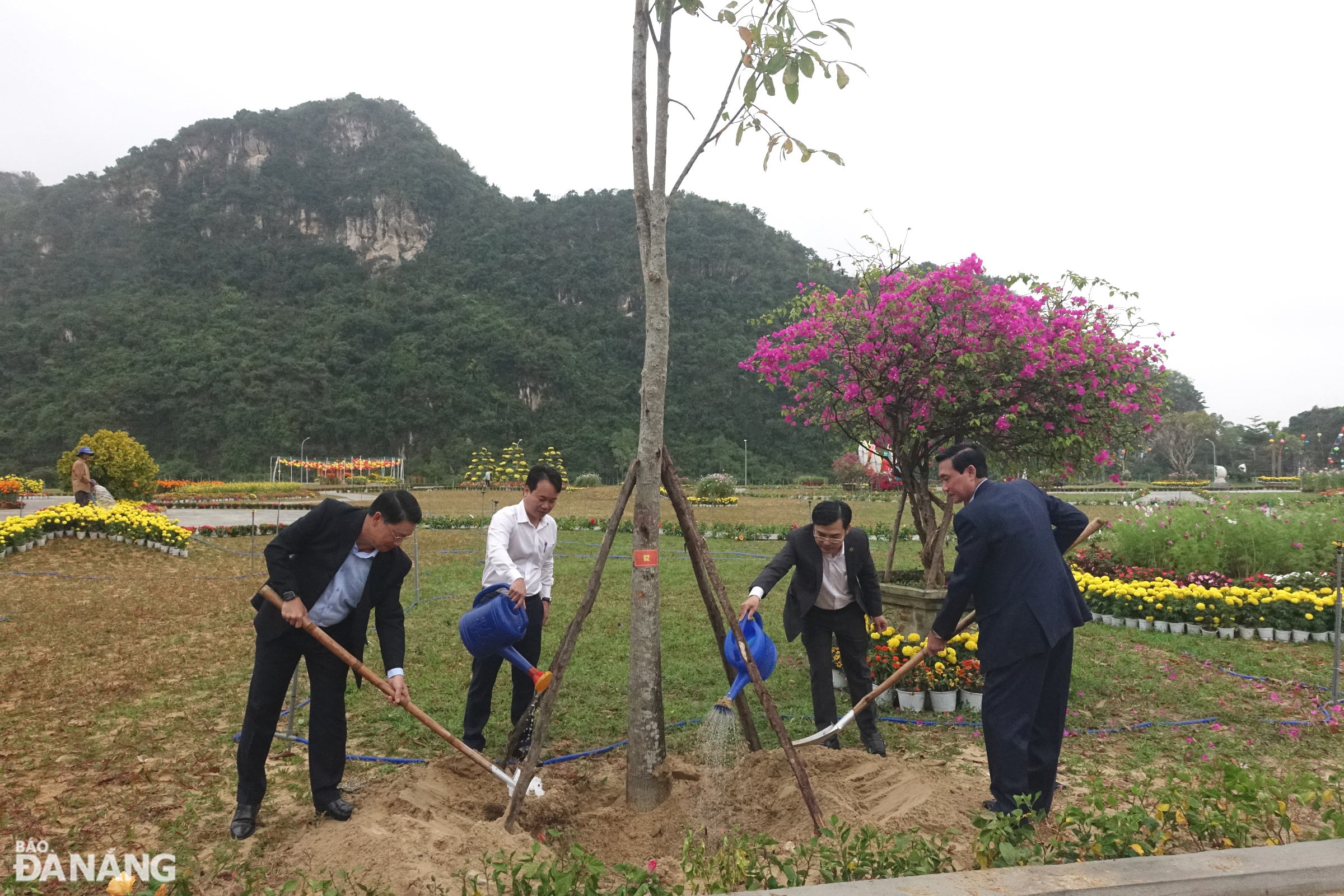 tet trong cay 2024 2