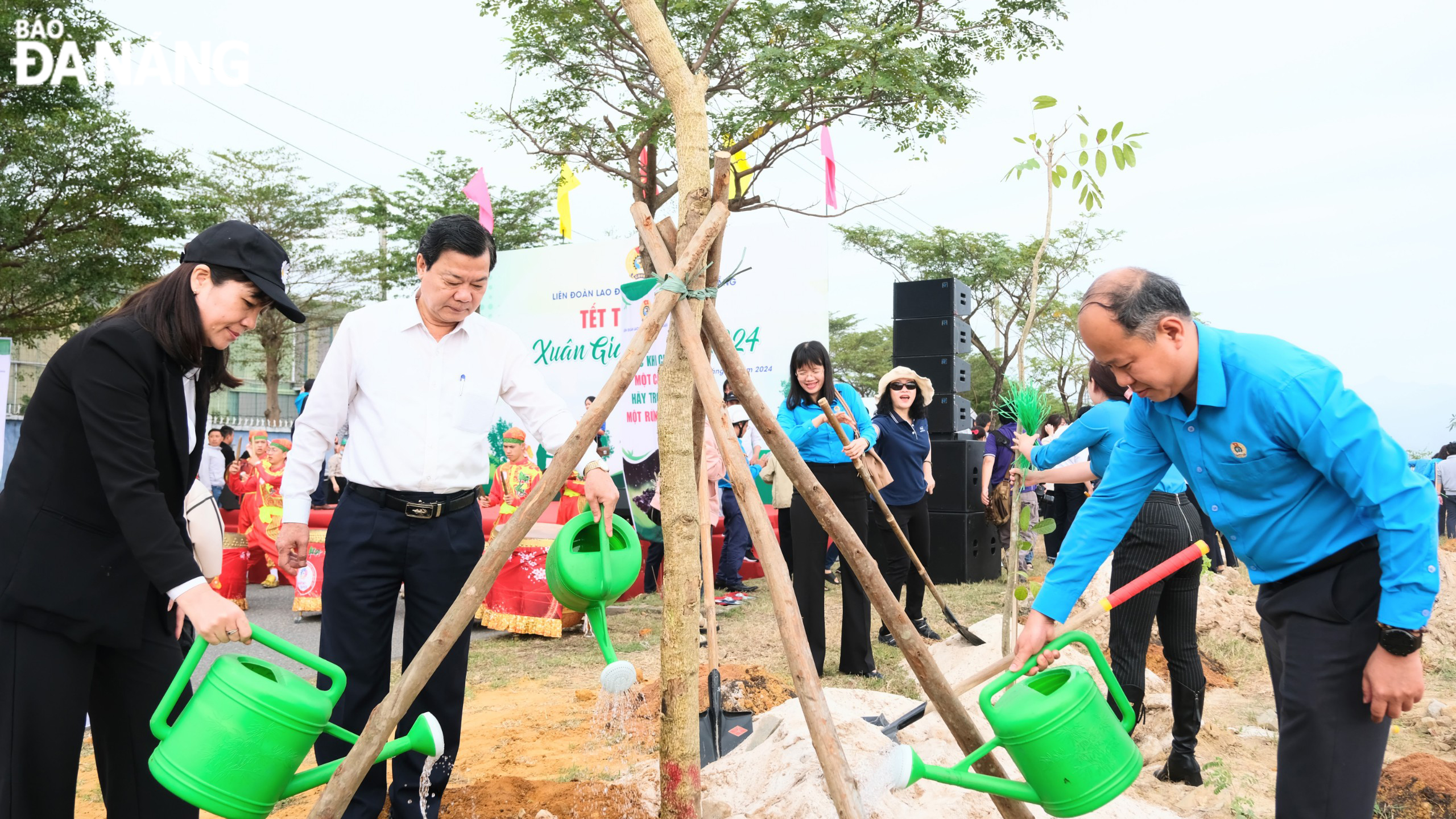 tet trong cay 2024 4