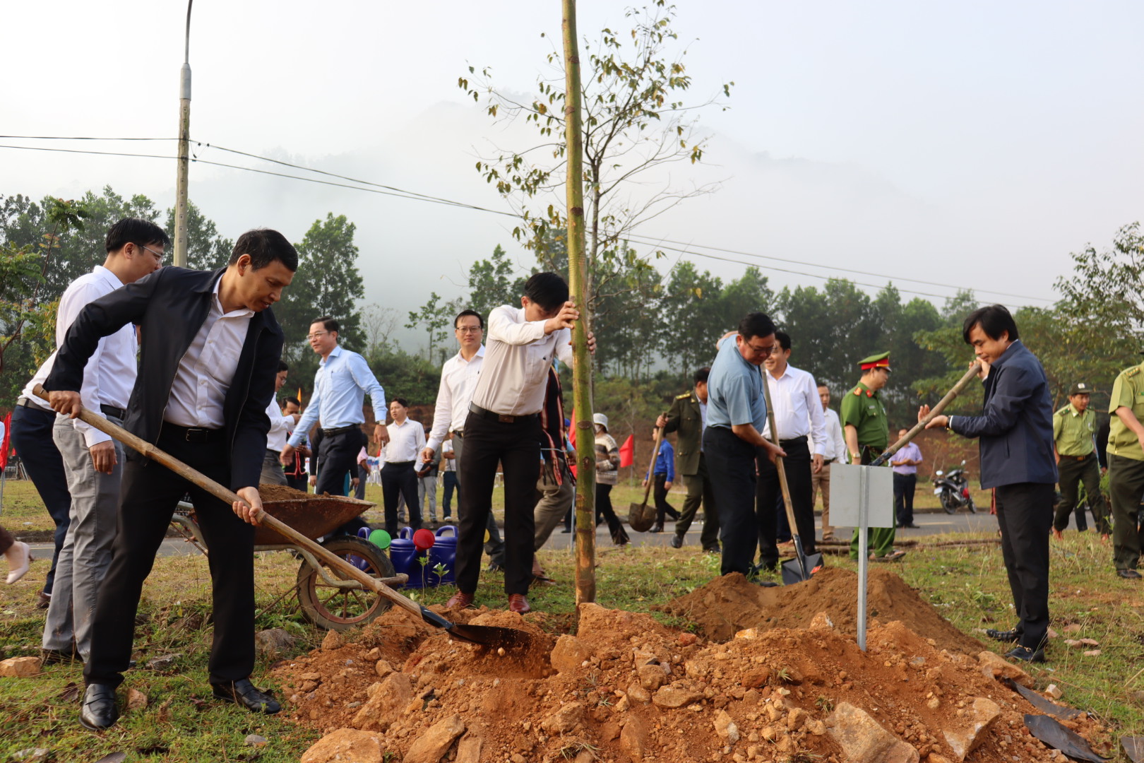 tet trong cay 2024 9