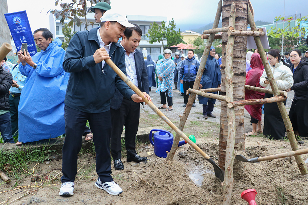 tet trong cay 2025 6