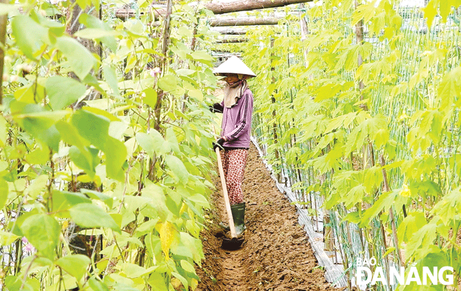 tieng anh1 2311