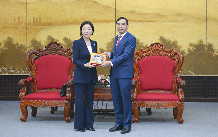 tiep dai su dac menh toan quyen han quoc 1