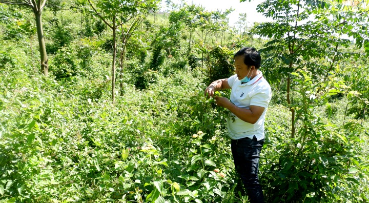 tong ket cong tac phong chay 2c chua chay va phat trien rung nam 2022 2