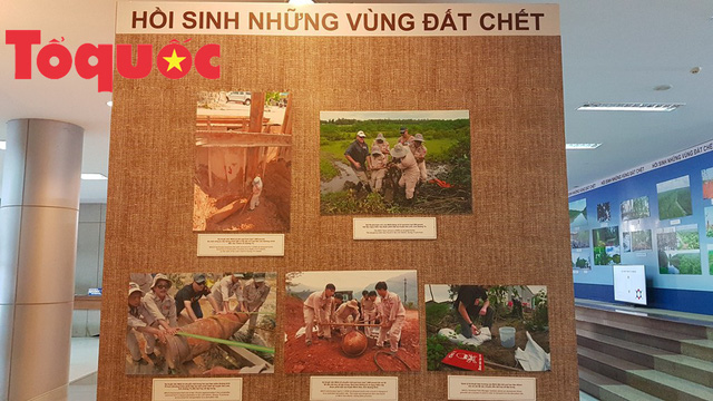 trien lam hoi sinh 2