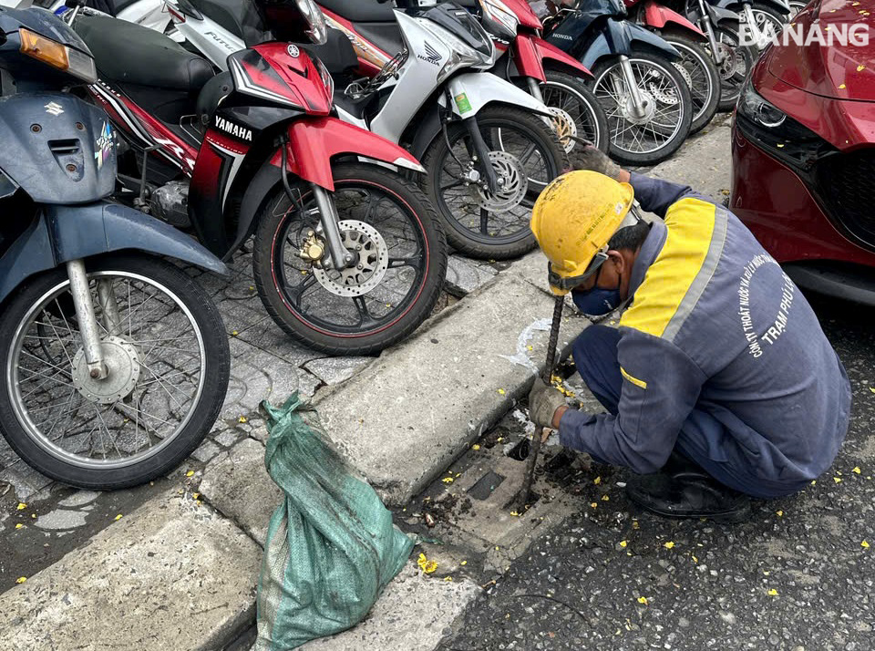 ung pho bao so 1 2025 4