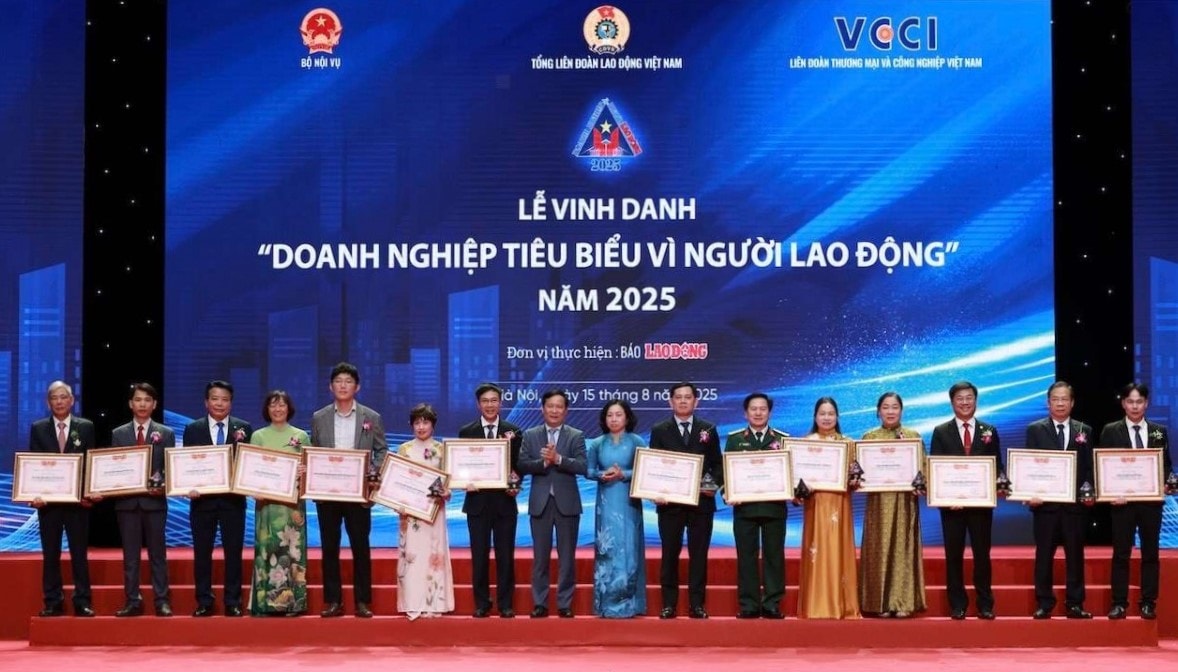 vd120250816061317