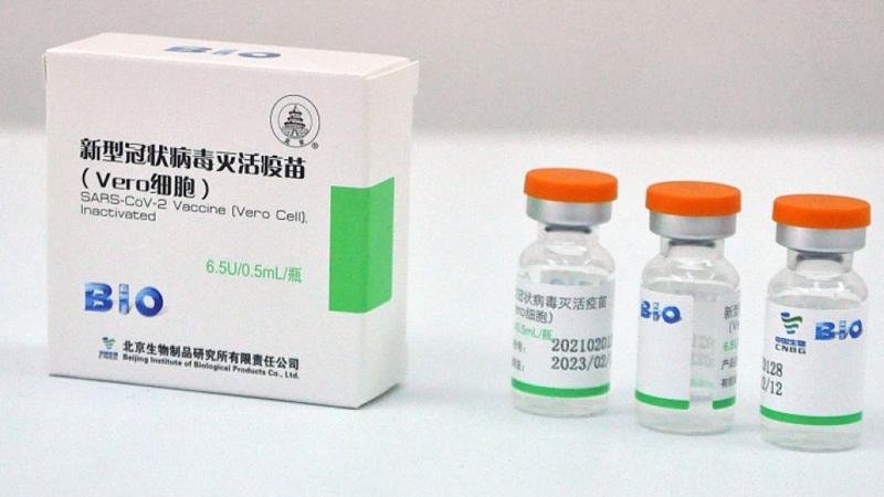 vero cell