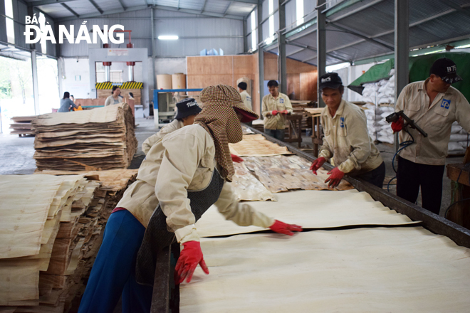 workers are busy with their work at the dana flywood production and trading co ltd 2c
