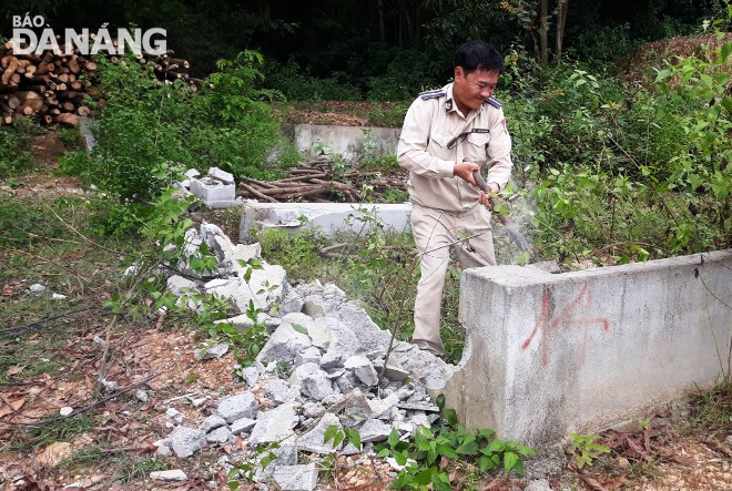 xay dung trai phep dat rung thanh nghia trang