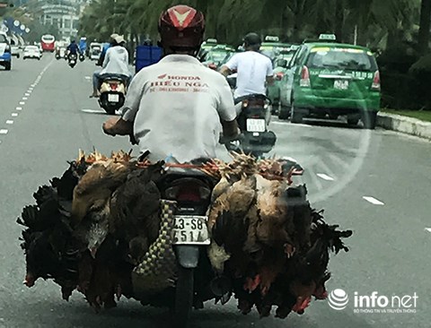 xe cong kenh