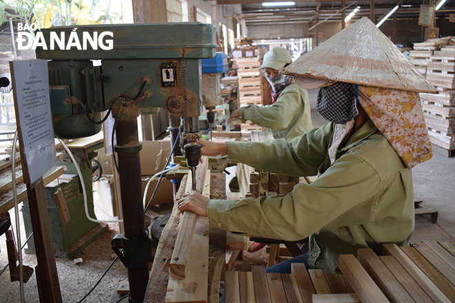 xuong go